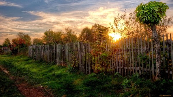 Алакаевка Самарская область яблоневые сады