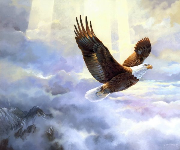 Орел над морем