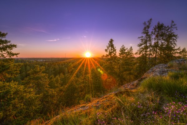 Афанасий Фет Заря прощается с землею