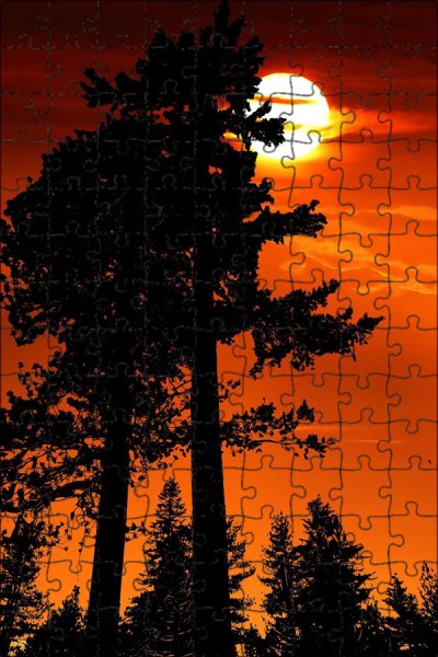 Закат в лесу