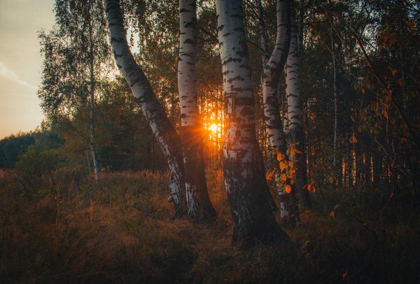 Екатерина Кокушкина фотограф