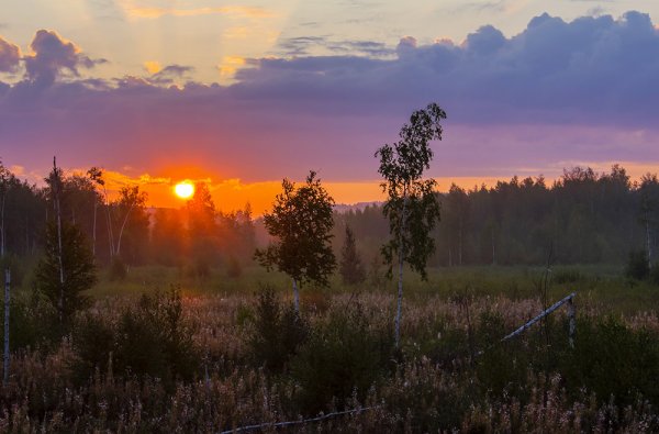 Зорька Заря