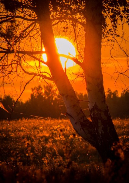 Река солнце