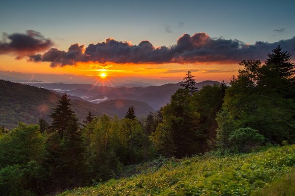 Красивый рассвет в лесу