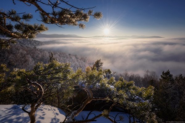 Горы сосны Кисловодск зима