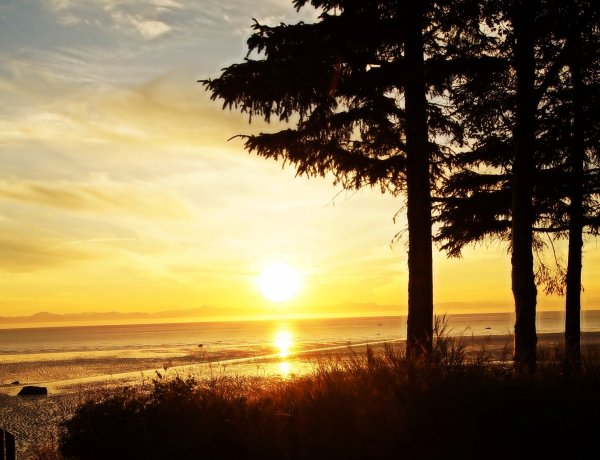 Закат в лесу