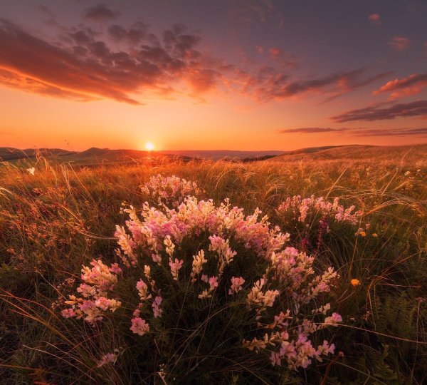 Рассвет в степи