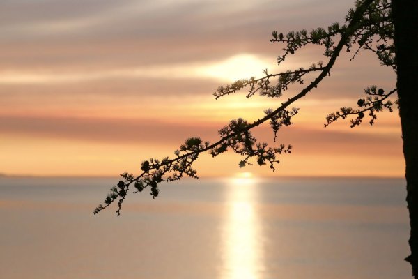 Красота неба