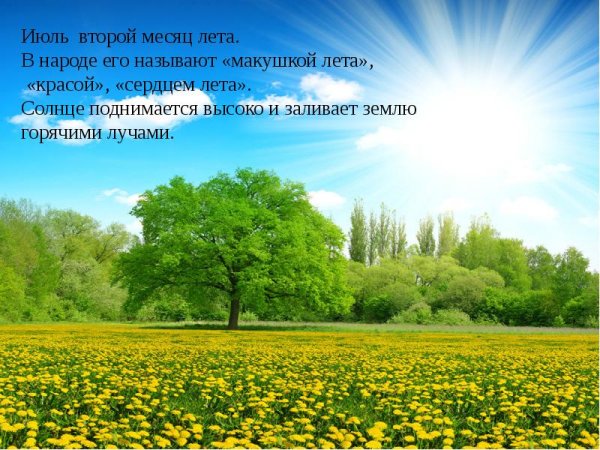 Пусть солнце светит