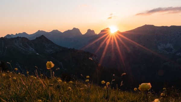 Летний пейзаж