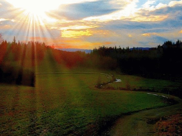 Сосновый Бор солнце