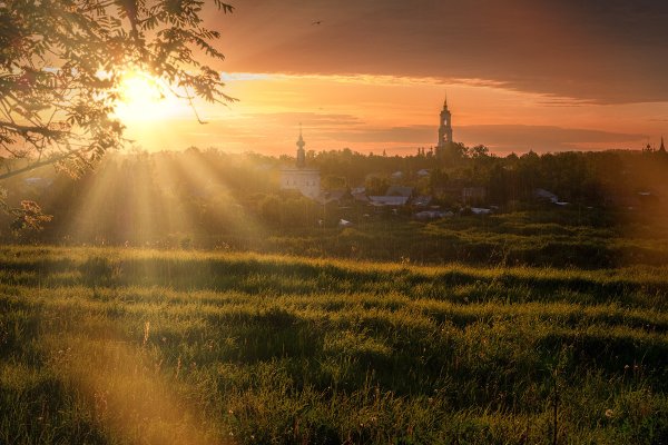 Цветы в лучах утреннего солнца
