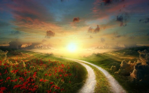 Анимированные одуванчики