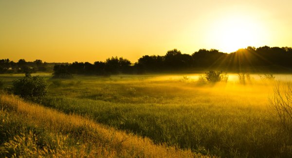 Природа полдень солнце