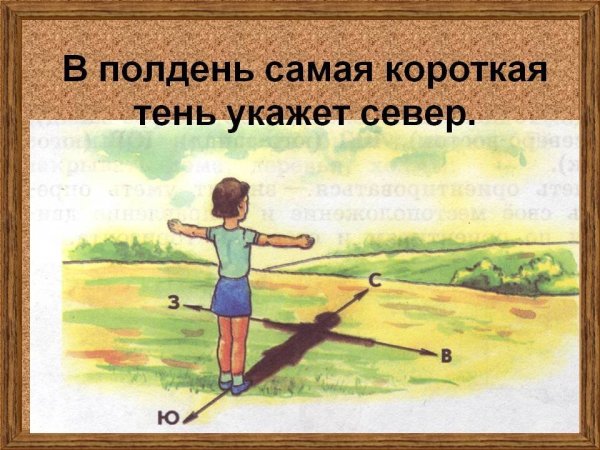 Как определить стороны света по солнцу