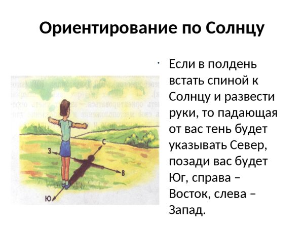 Как ориентироваться по солнцу в полдень