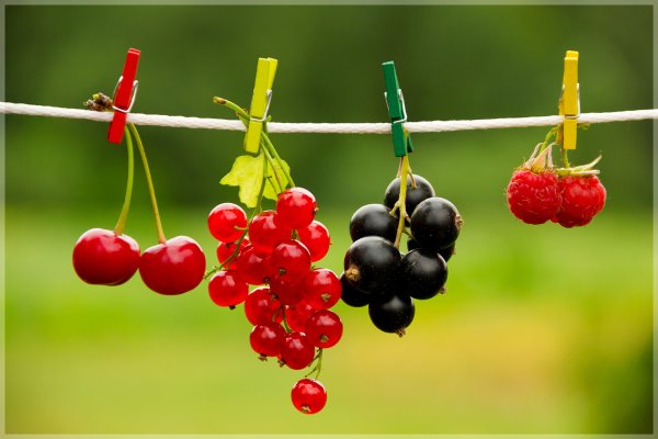 Июльские ягоды