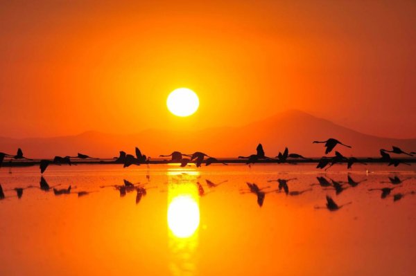 Восходящее солнце Восток картина