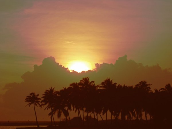 Индия Восход