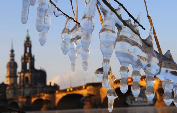 Сосульки на деревьях