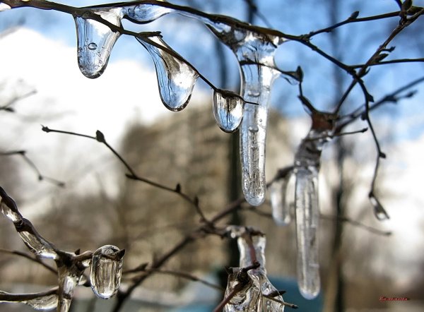 Мартовская капель