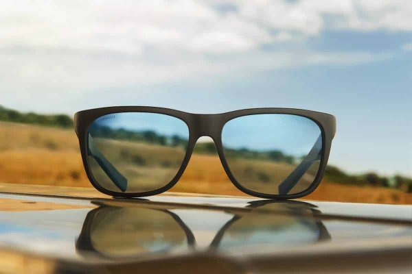 Serengeti очки 8583