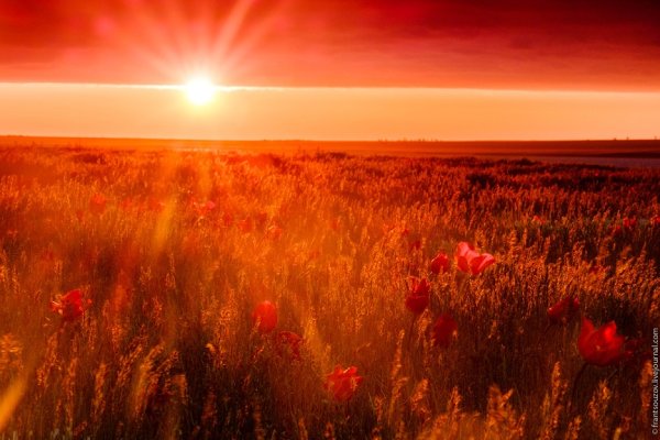 Красивый закат в степи