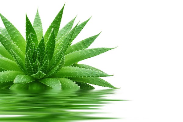 Фрупи алоэ Вера