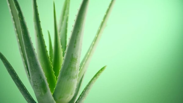 Солнце вечером