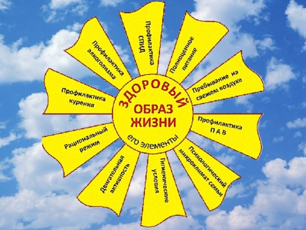 Здоровый образ жизни солнышко
