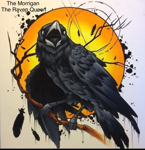 Ворон Графика