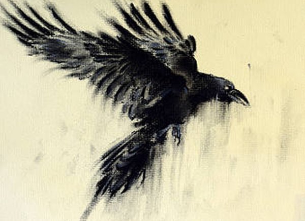 Ворон Феникс (Crow Phoenix)