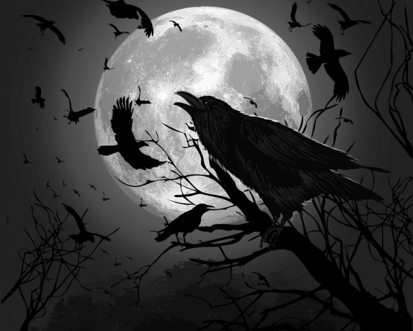 Ворон на ветке Луна