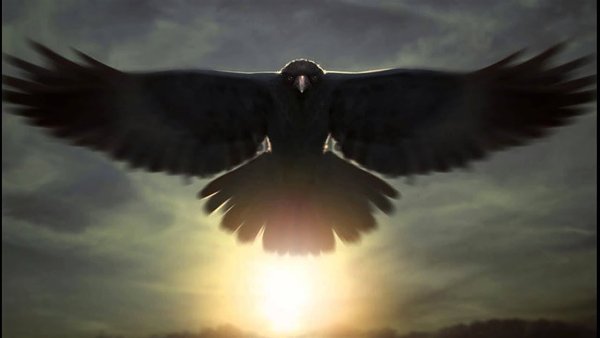 Ворон солнце