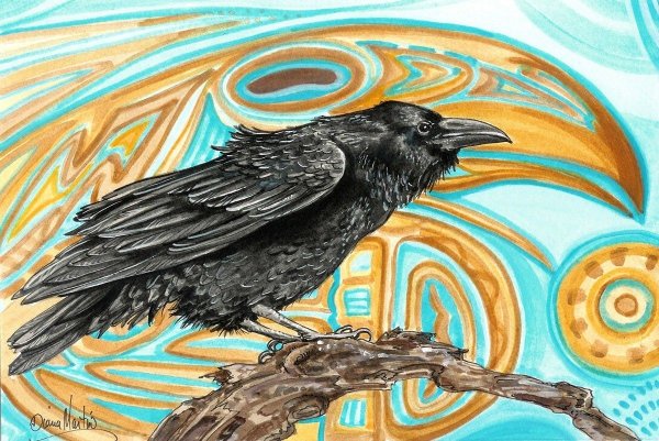 Пестрая ворона