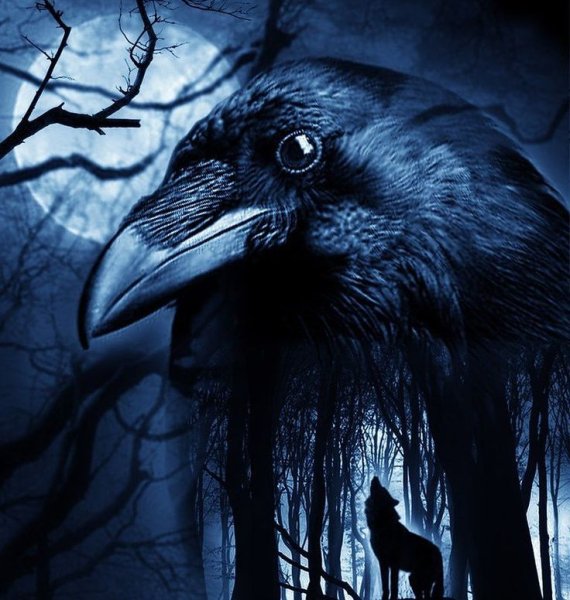 Сюнин ворон