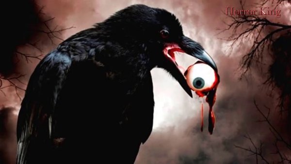 Страшный ворон