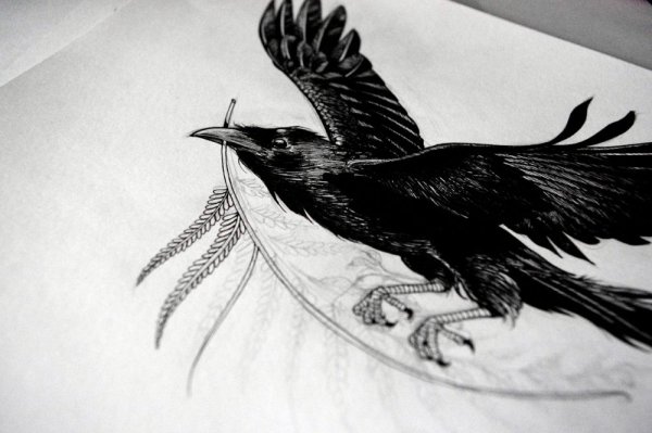 Ворон картина