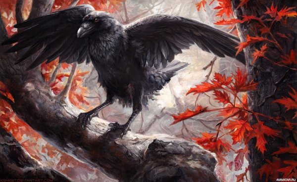Темный ворон