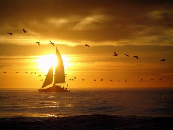 Парус на закате