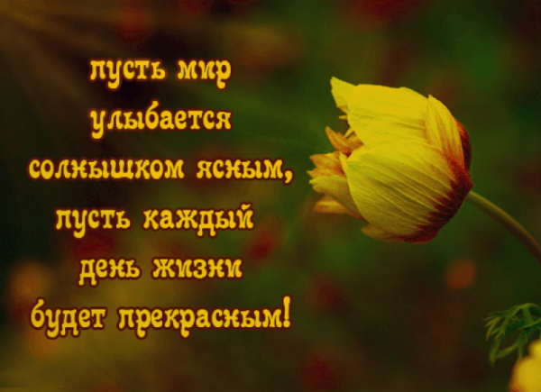 Пусть мир улыбается солнышком ясным