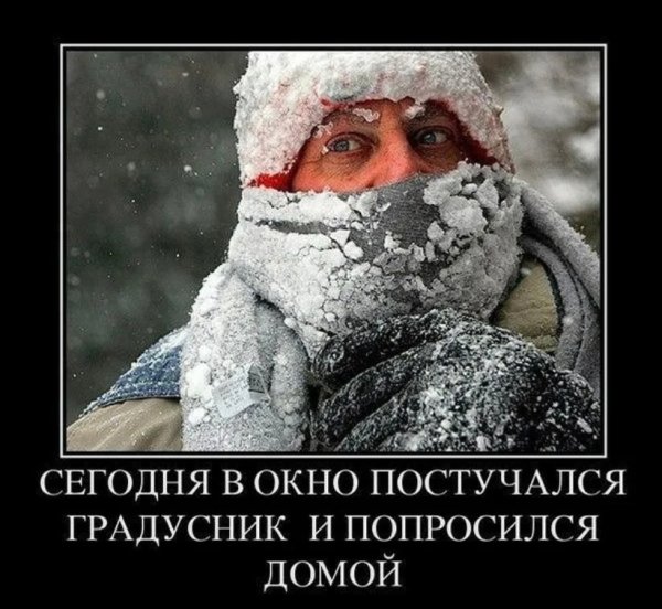 Шутки про Мороз