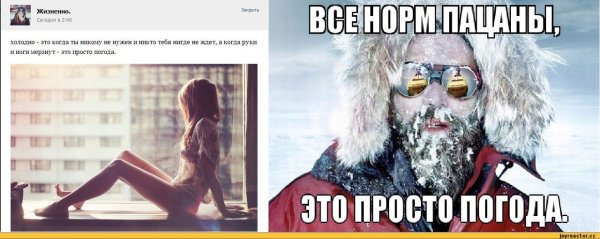 Холодно прикол