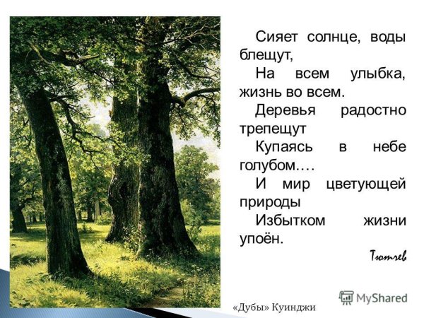 Сияет солнце водыблещую