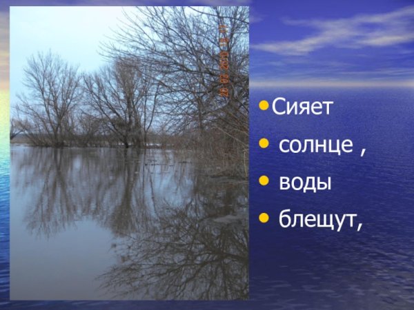 Сияет солнце воды блещут