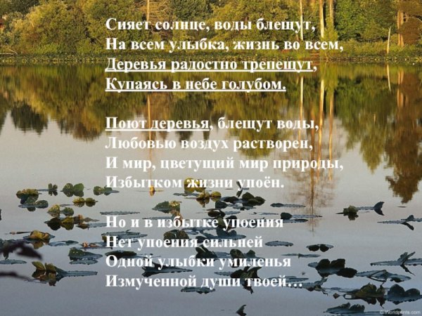 Сияет солнце воды блещут