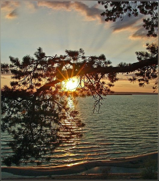 Природа России яркое солнце