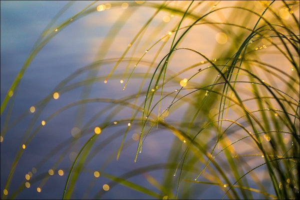 Природа солнце вода