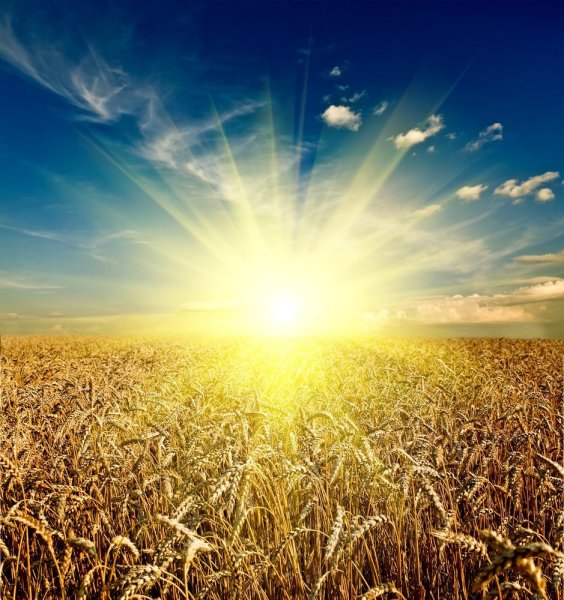 Девочка солнце