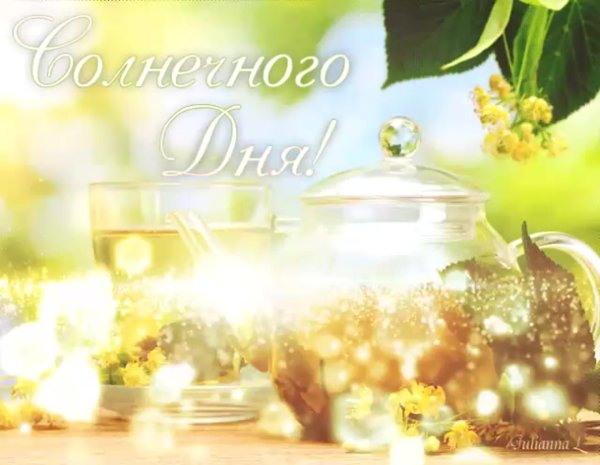 Доброе утро солнечного дня
